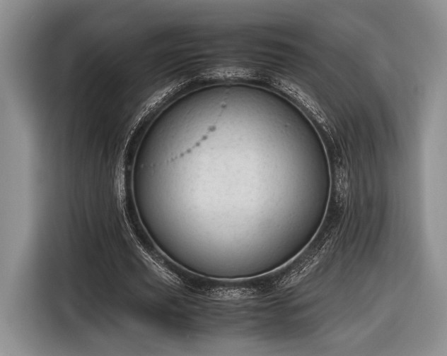 X0000116600629200912181147