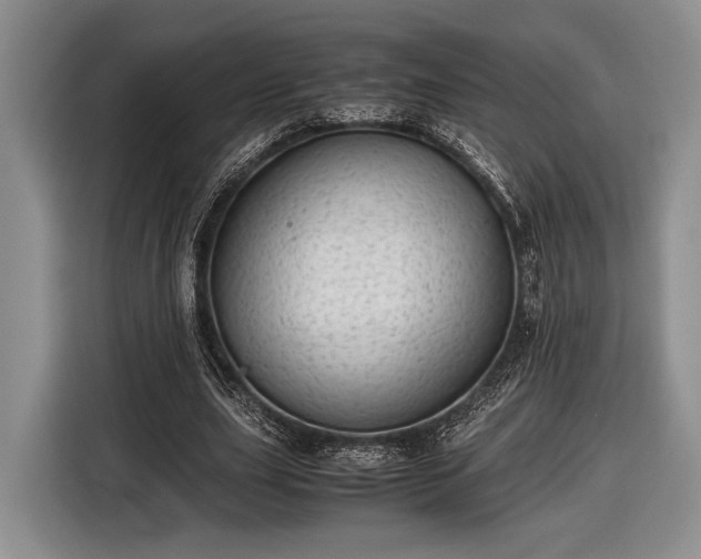 X0000116600631200912181147