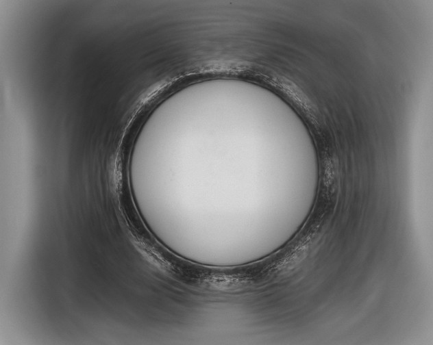 X0000116600632200912181147