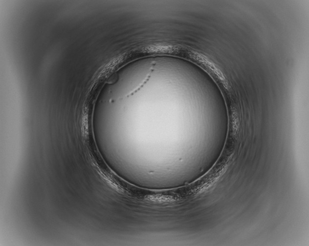 X0000116600633200912181147