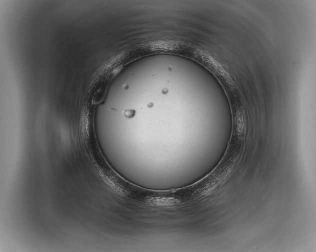 X0000116600637200912181147
