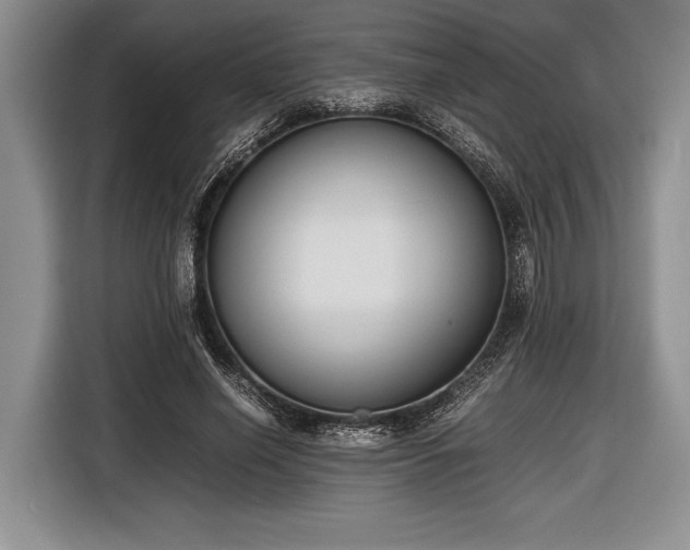 X0000116600638200912181147