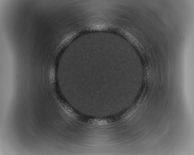 X0000116600640200912181147