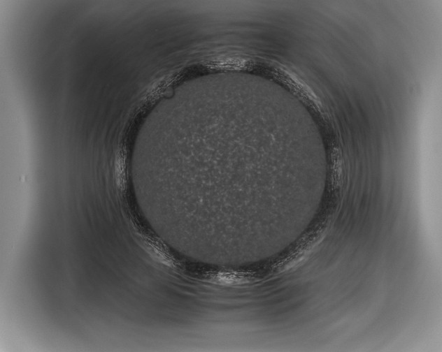 X0000116600641200912181147