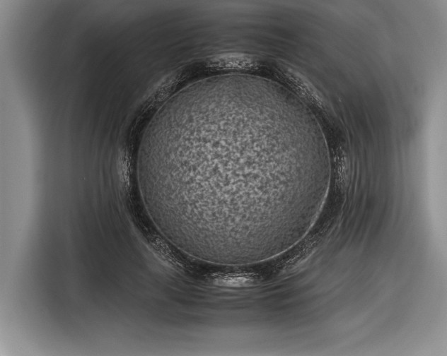 X0000116600643200912181147