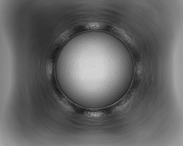 X0000116600645200912181147