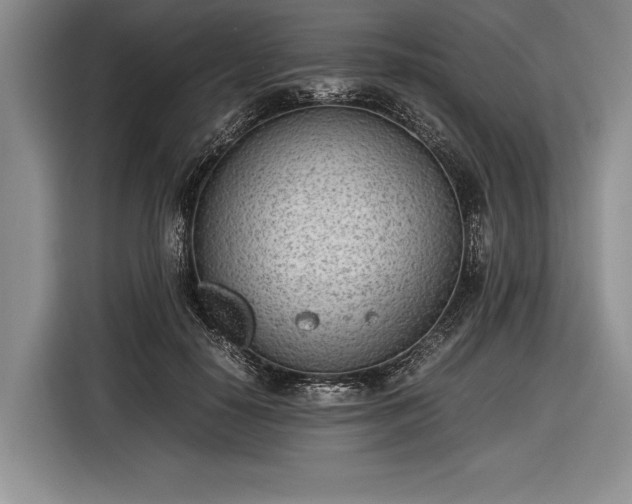X0000116600650200912181147