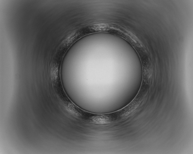 X0000116600652200912181147