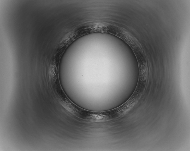 X0000116600654200912181147