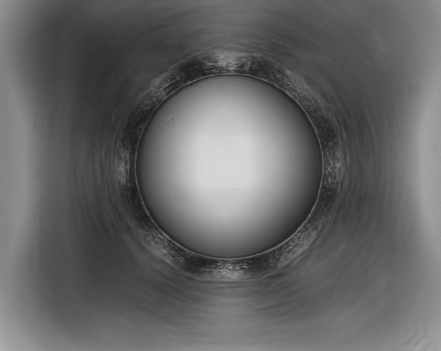 X0000116600656200912181147