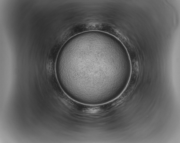 X0000116600659200912181147