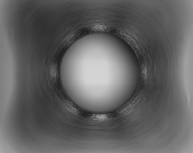 X0000116600665200912181147