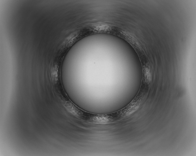 X0000116600668200912181147