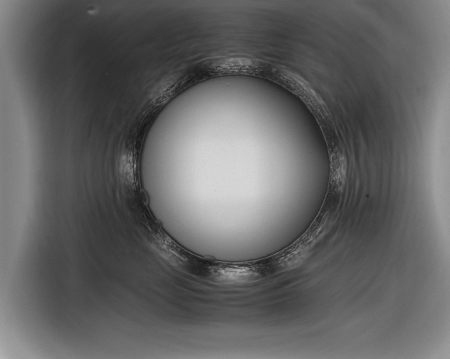 X0000116600669200912181147