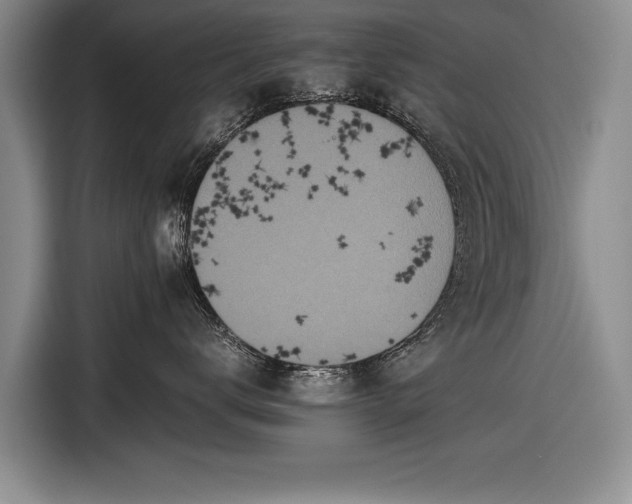 X0000116600672200912181147