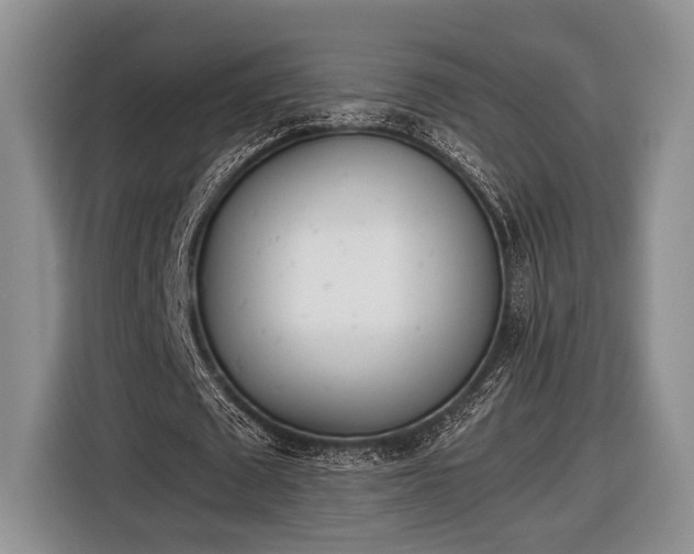 X0000116600673200912181146