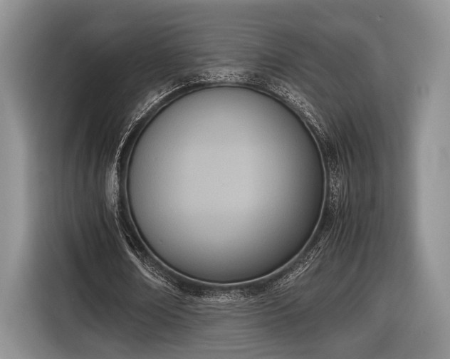 X0000116600674200912181146