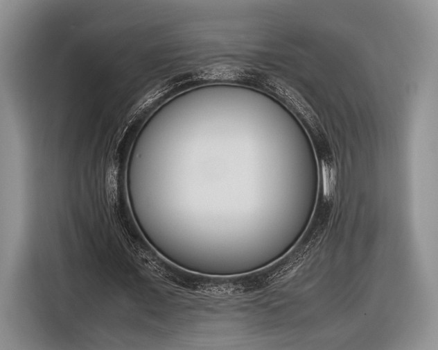 X0000116600675200912181146