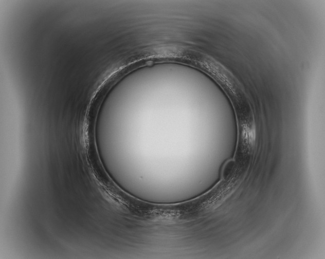 X0000116600676200912181146
