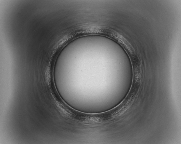 X0000116600677200912181146