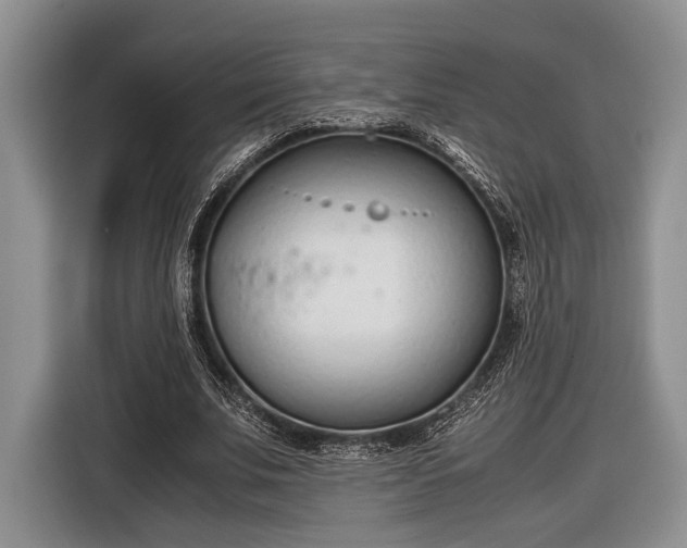 X0000116600679200912181146