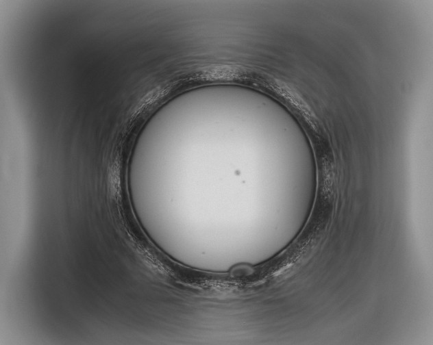 X0000116600681200912181146
