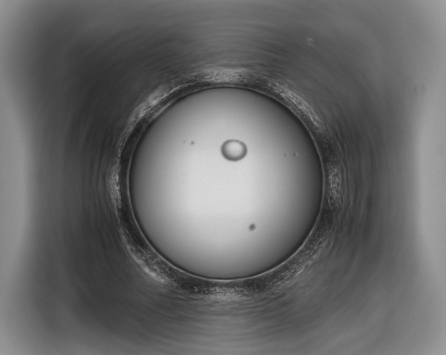 X0000116600682200912181146