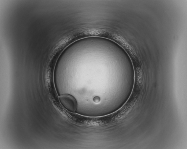 X0000116600683200912181146