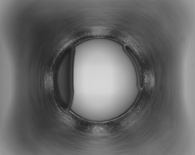 X0000116600684200912181146