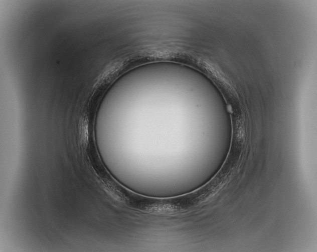 X0000116600685200912181146