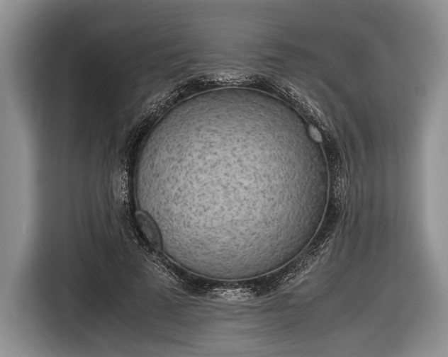 X0000116600689200912181146