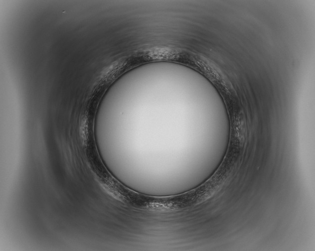 X0000116600690200912181146