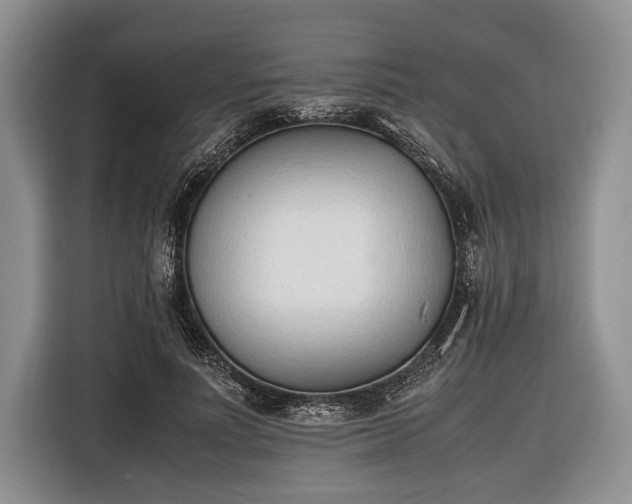 X0000116600691200912181146