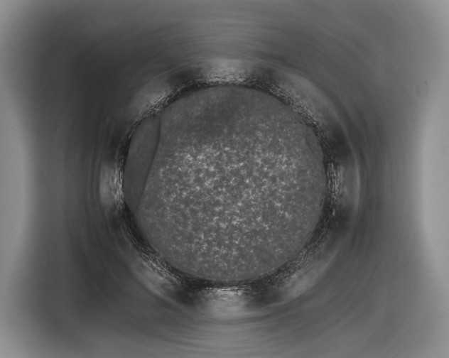 X0000116600692200912181146