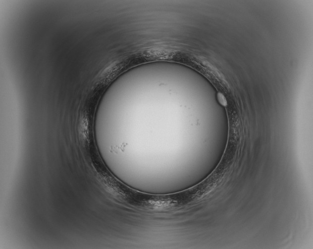 X0000116600693200912181146