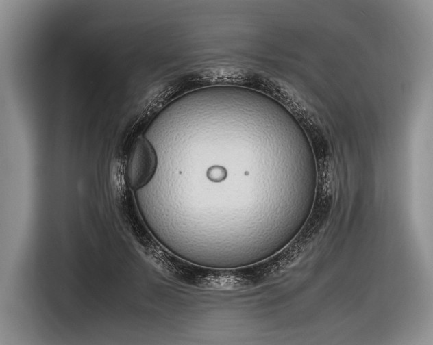 X0000116600695200912181146