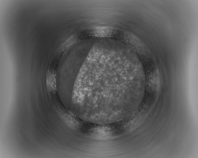 X0000116600696200912181146