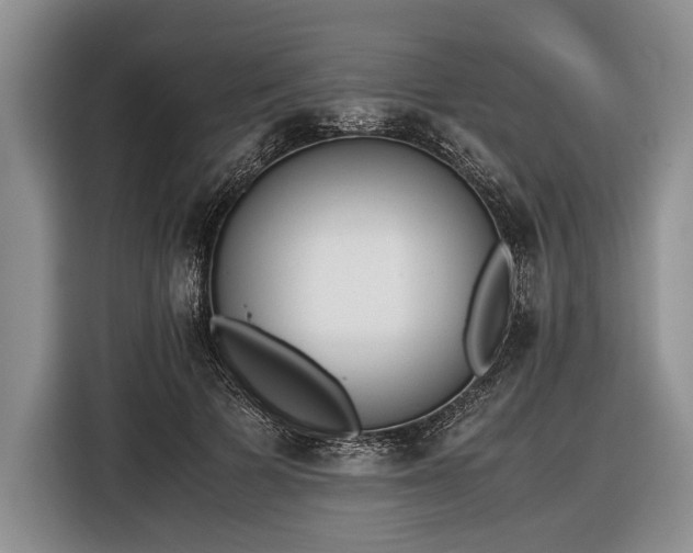 X0000116600697200912181146