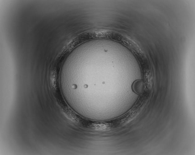 X0000116600698200912181146