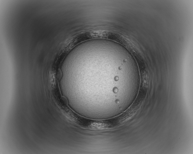 X0000116600699200912181146