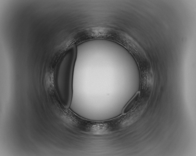 X0000116600700200912181146