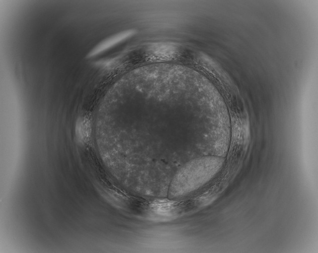 X0000116600701200912181146