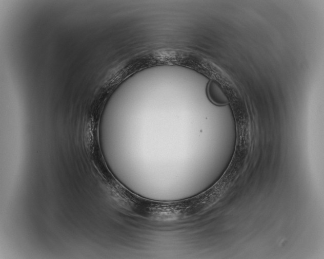 X0000116600702200912181146