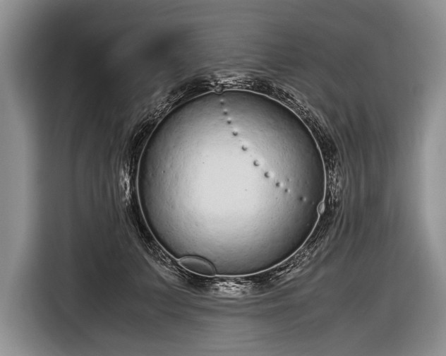 X0000116600703200912181146