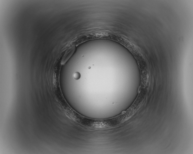 X0000116600704200912181146