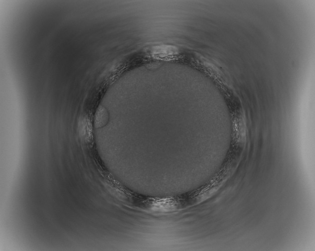 X0000116600705200912181146