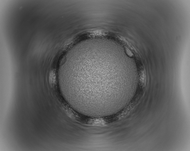 X0000116600715200912181146