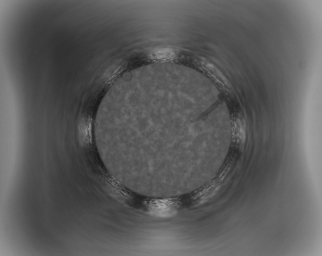 X0000116600717200912181146