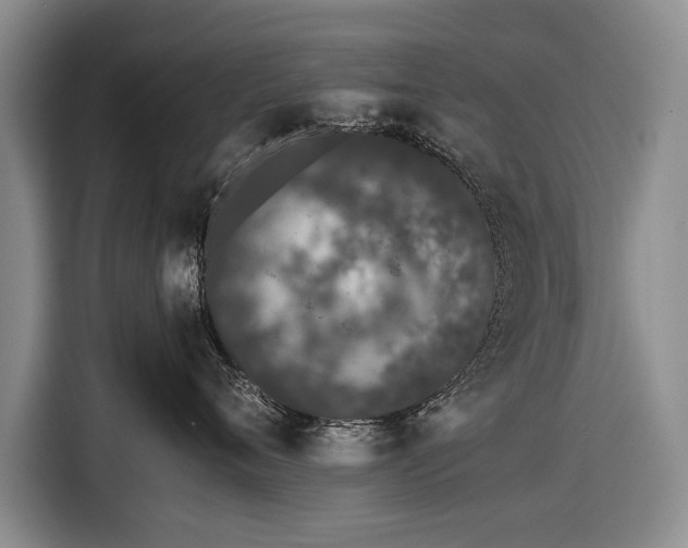 X0000116600720200912181146