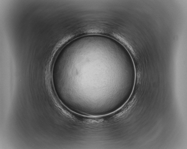 X0000116600721200912181145